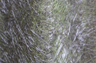 New Fletton fibreglass roof work